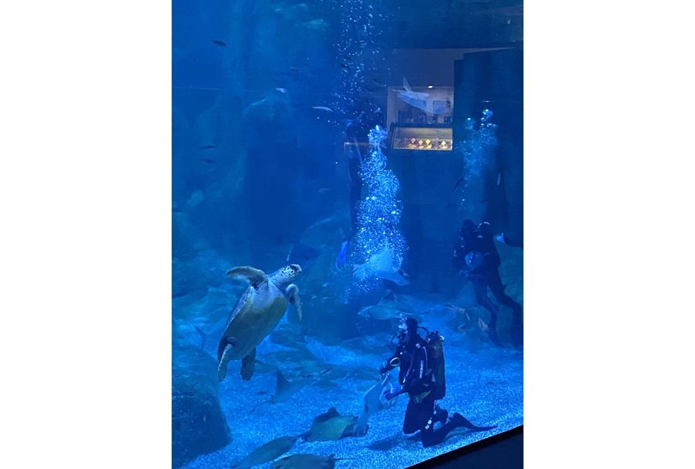 Aquarium Trip