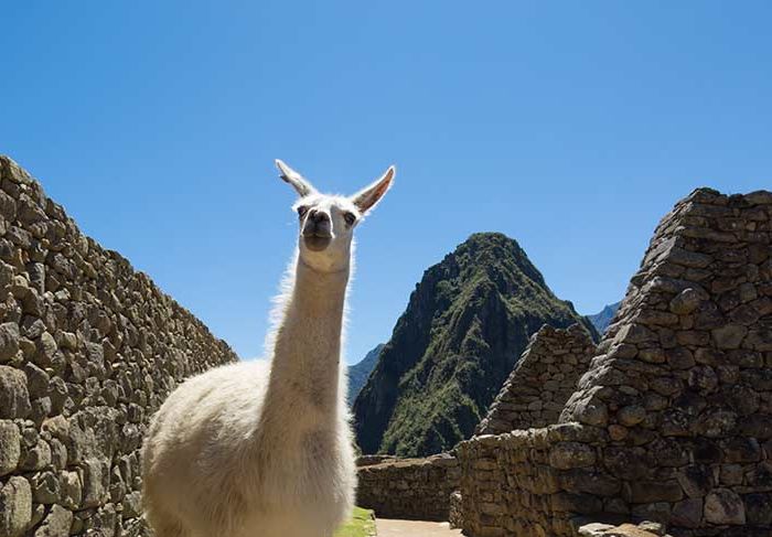 How to Travel the World without a Budget (Demo)