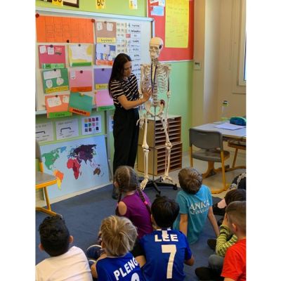 Understanding Body Systems