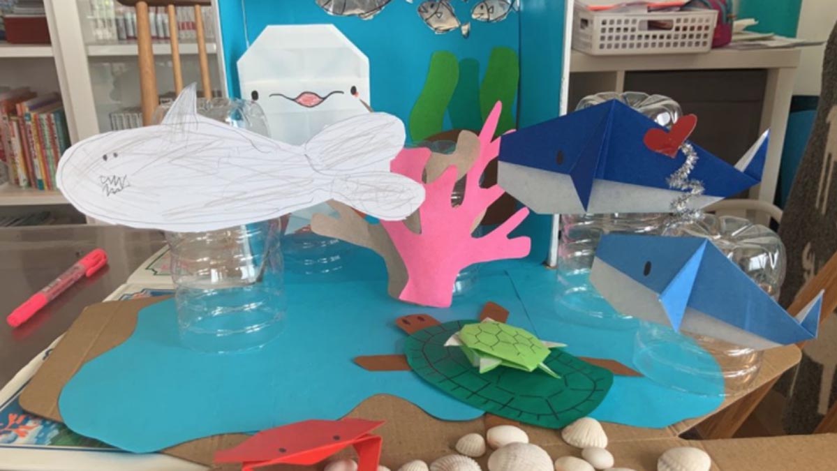 Grade 1 Celebrate their learning on Sharing the Planet