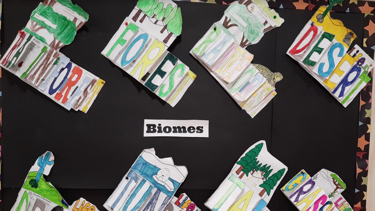 Brainstorming and Knowledge Building