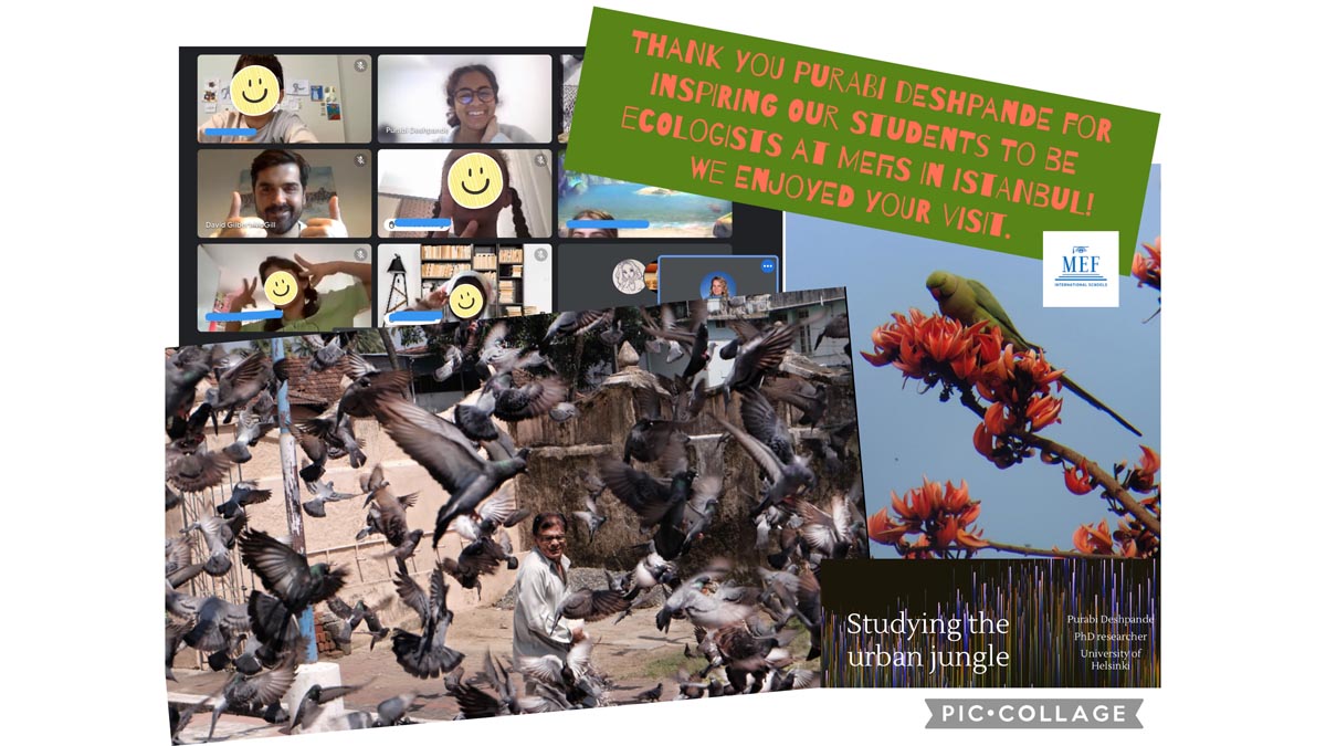 Grade 3 Ecologist Visit