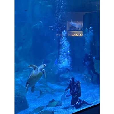 Aquarium Trip