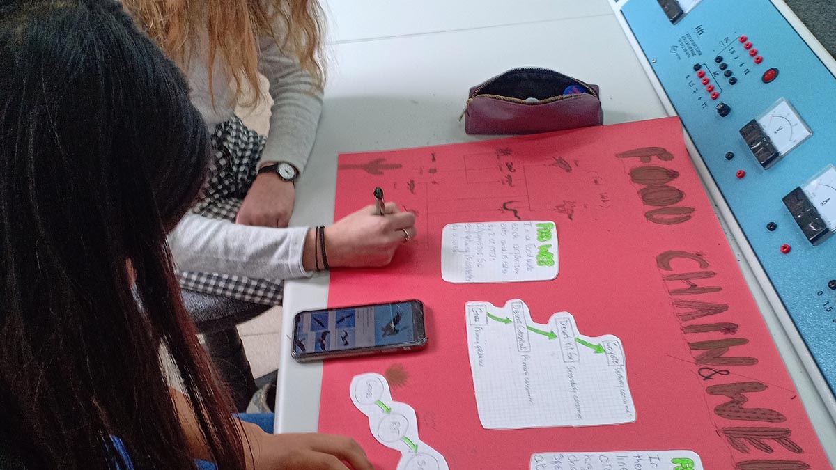 Inquiry Based and Active Learning