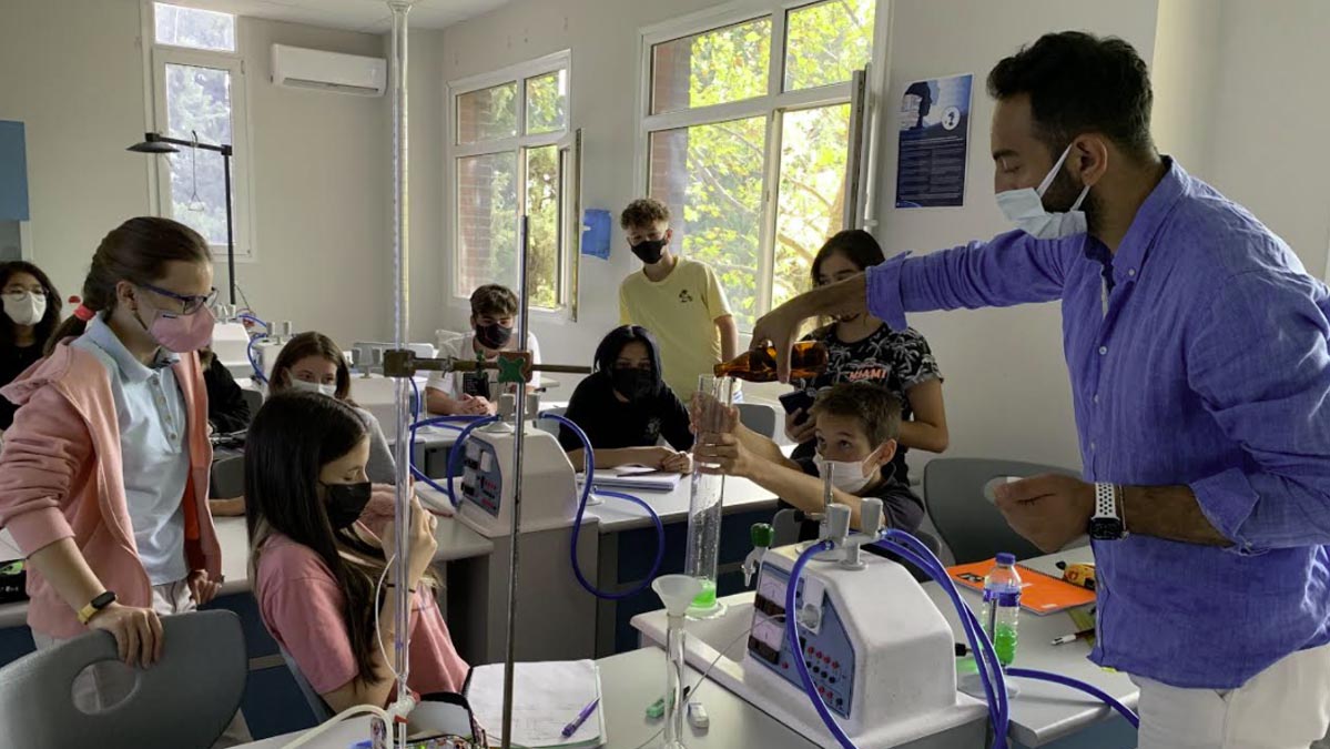 Effect of Catalysts on Reaction Rates