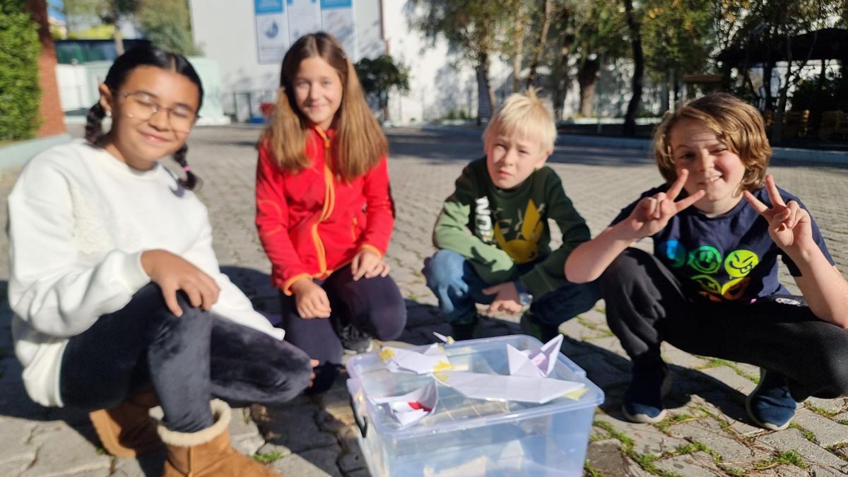 Grade 4 Education (4)